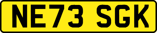 NE73SGK