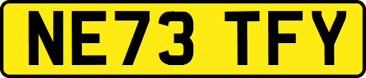 NE73TFY