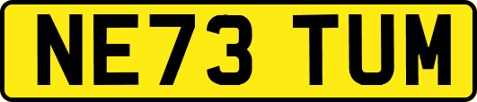 NE73TUM