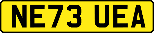 NE73UEA