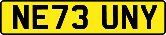 NE73UNY