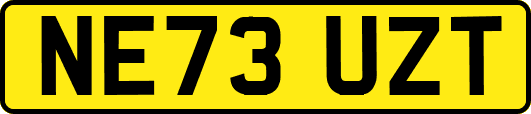 NE73UZT