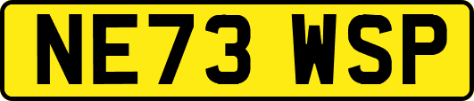 NE73WSP