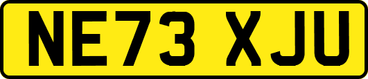 NE73XJU