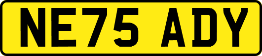 NE75ADY