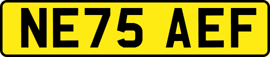 NE75AEF