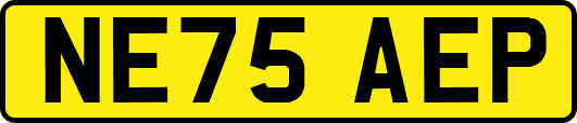 NE75AEP