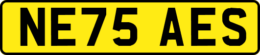 NE75AES