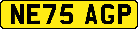 NE75AGP