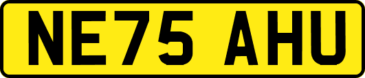 NE75AHU