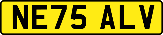 NE75ALV