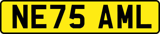 NE75AML