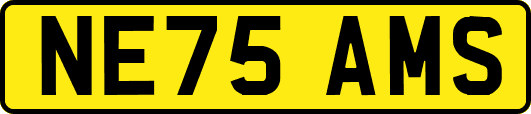 NE75AMS