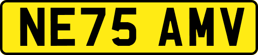NE75AMV
