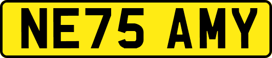 NE75AMY