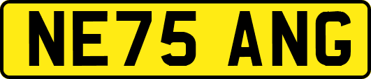 NE75ANG