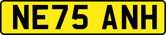 NE75ANH