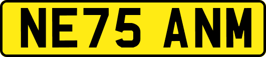 NE75ANM