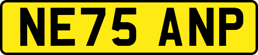 NE75ANP