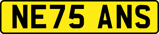 NE75ANS