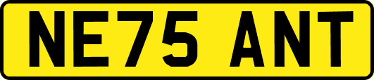 NE75ANT