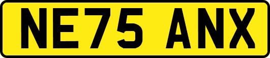 NE75ANX