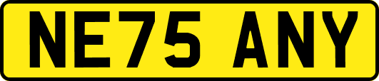 NE75ANY