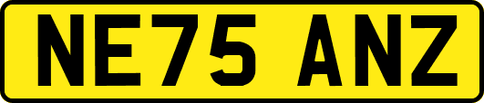 NE75ANZ