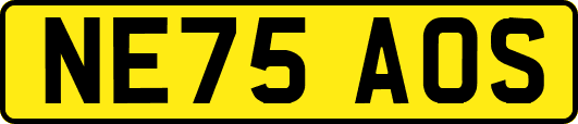 NE75AOS