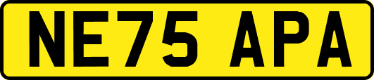 NE75APA