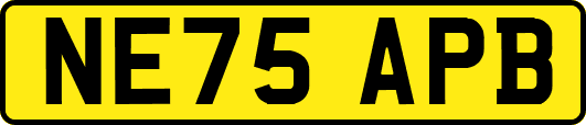 NE75APB