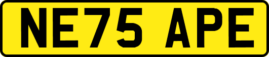 NE75APE