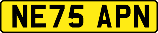 NE75APN