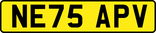 NE75APV