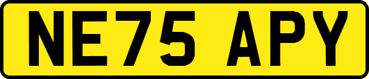 NE75APY