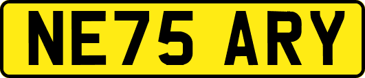 NE75ARY