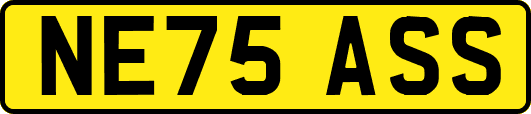 NE75ASS