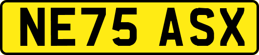 NE75ASX