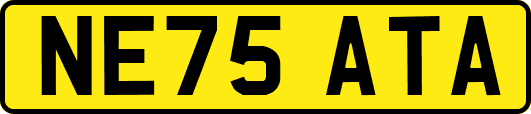 NE75ATA