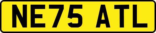 NE75ATL