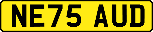 NE75AUD