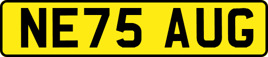 NE75AUG