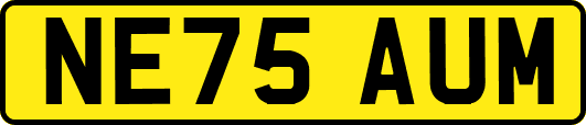 NE75AUM