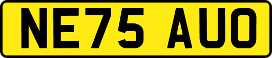 NE75AUO