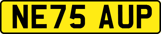 NE75AUP