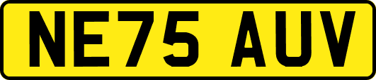 NE75AUV