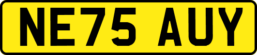 NE75AUY