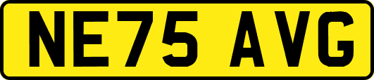 NE75AVG