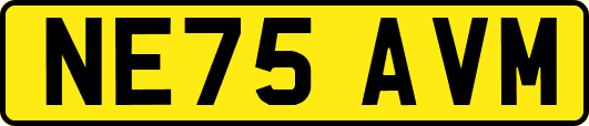 NE75AVM