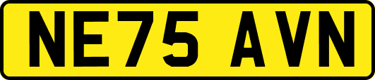 NE75AVN